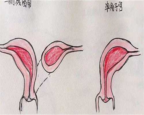 试管前检查项目