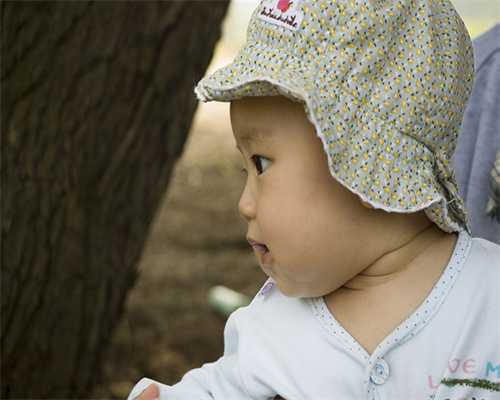 夜针取卵时间